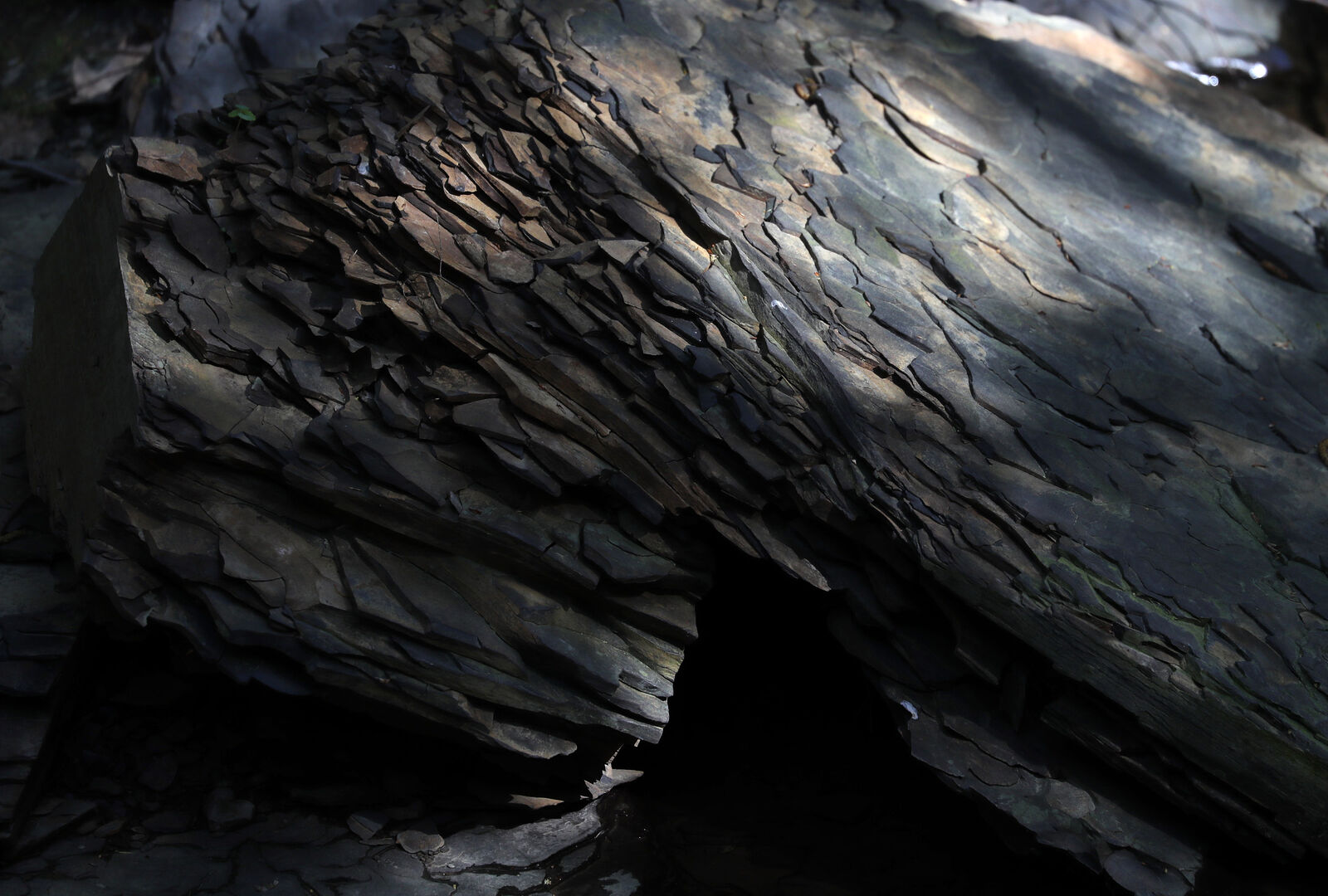 Shale